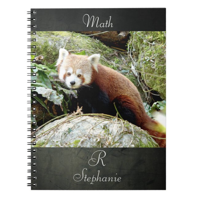 Cuaderno Portátil Foto panda roja , animales 0437. (Frente)