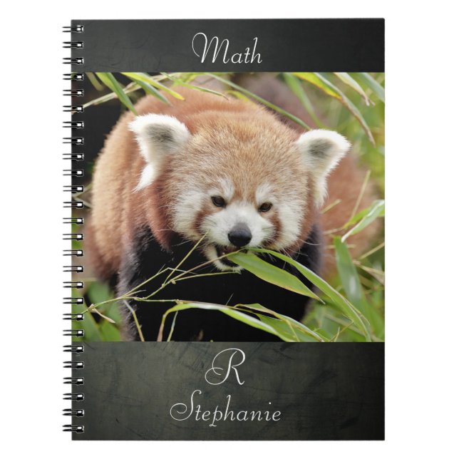 Cuaderno Portátil Foto panda roja , animales 0443. (Frente)