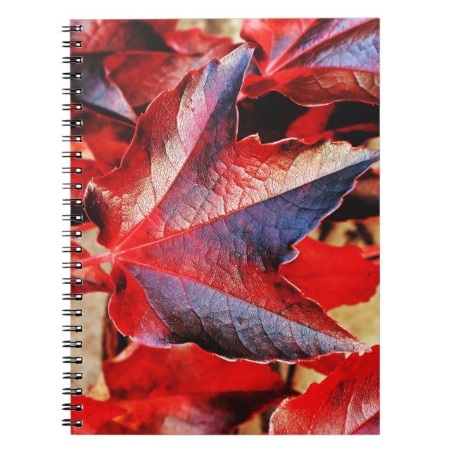 Cuaderno Portátil fotográfico (80 páginas B&W) (Frente)