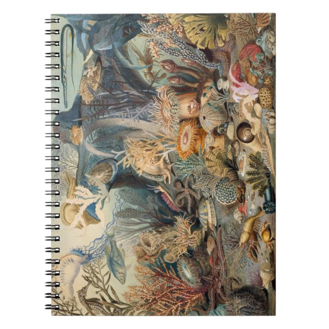 Cuaderno Portátil fotográfico (80 páginas B&W) (Frente)