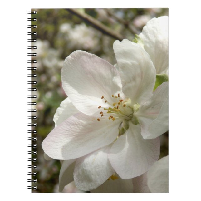 Cuaderno Portátil fotográfico Apple Blossom (Frente)