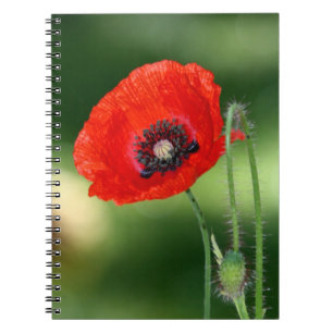 Cuaderno Portátil fotográfico con semilla de amapola roja