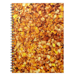 Cuaderno Portátil fotográfico de hojas de otoño