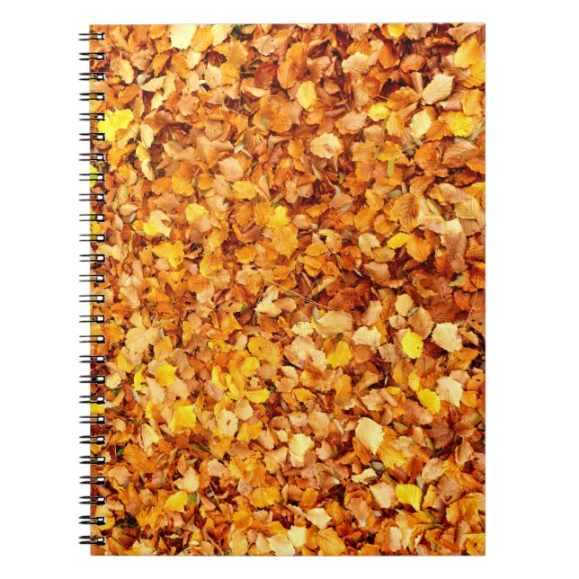 Cuaderno Portátil fotográfico de hojas de otoño (Frente)