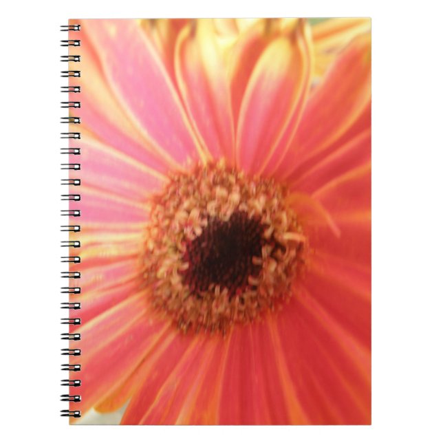 Cuaderno Portátil Gerbera Daisy Flower (Frente)