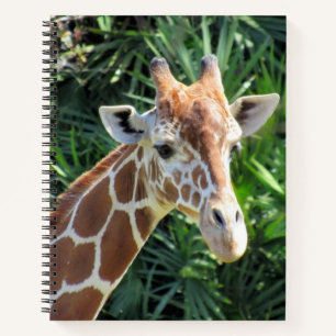 Cuaderno Portátil Giraffe - 8,5 x 11, 8,5 x 8,5 o corazón