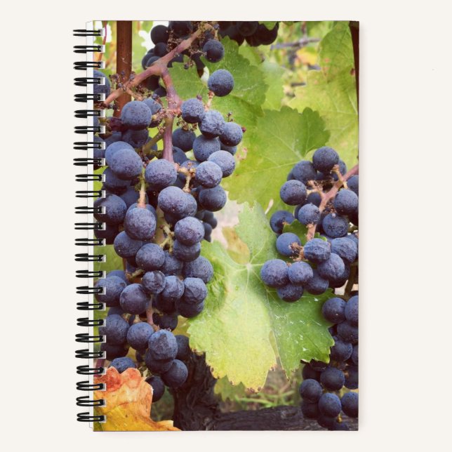 Cuaderno Portátil Grapevine (cubierta dura) (Anverso)