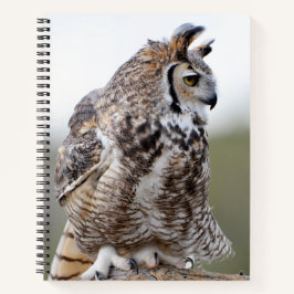 Cuaderno Portátil Great Horned Owl Photo 8x11