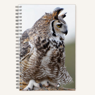 Cuaderno Portátil Great Horned Owl Photo 8x5