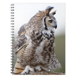 Cuaderno Portátil Great Horned Owl Photo 9x6