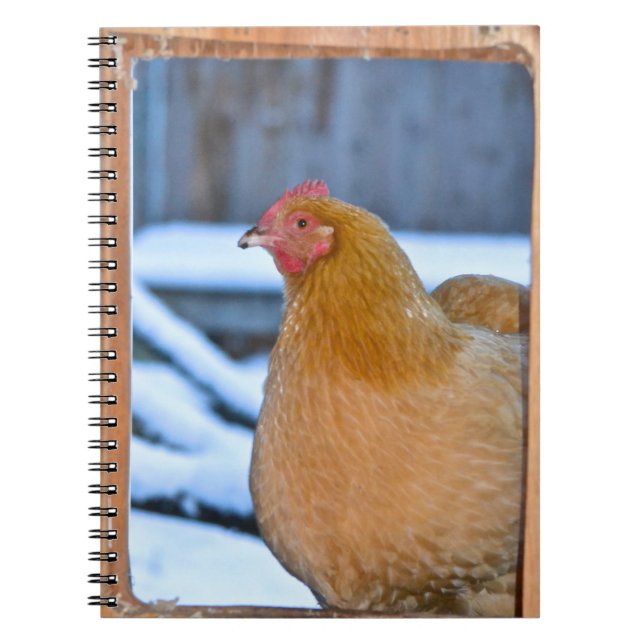 Cuaderno Portátil Hen In Coop Doorway (Frente)