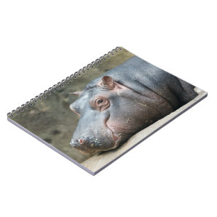Cuaderno Portátil Hippopótamo