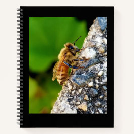 Cuaderno Portátil Honeybee 8.5x11