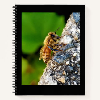 Cuaderno Portátil Honeybee 8.5x11