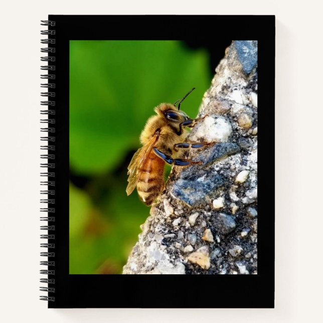 Cuaderno Portátil Honeybee 8.5x11 (Anverso)