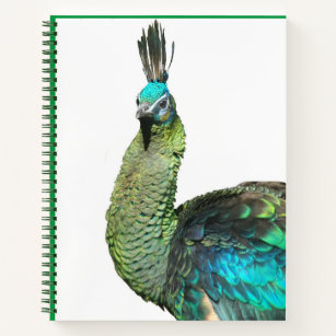 Cuaderno Portátil indonesio de pavo real