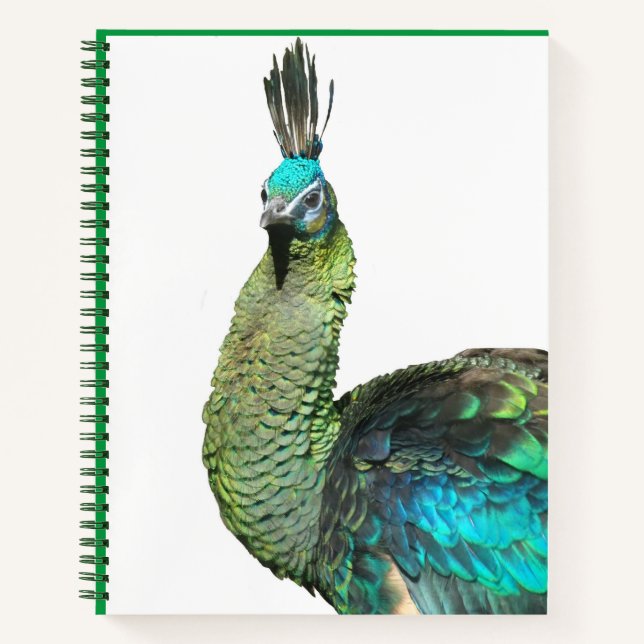 Cuaderno Portátil indonesio de pavo real (Anverso)