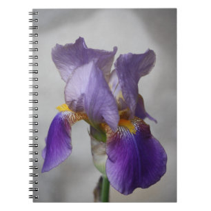 Cuaderno Portátil iris morado con barba