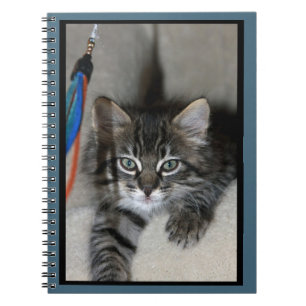 Cuaderno Portátil kitten kimber lúdico