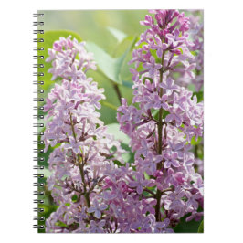 Cuaderno Portátil Lilac P5390