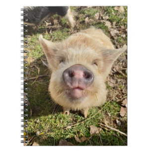 Cuaderno Portátil malabarillado dias monas