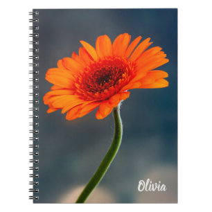 Cuaderno Portátil monoNaranja Gerbera Spiral