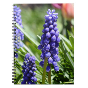 Cuaderno Portátil Muscari (Hyacinth de uva)
