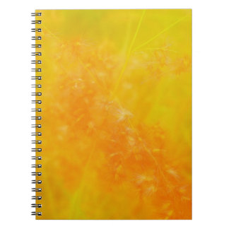 Cuaderno Portátil Naranja brillante