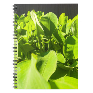 Cuaderno Portátil Oasis Verde - Diseño de plantas verdes ex