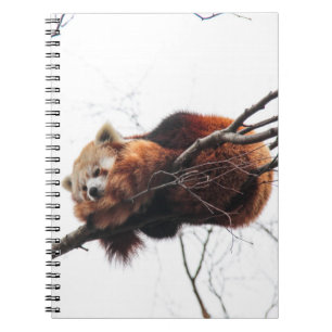 Cuaderno Portátil Panda rojo