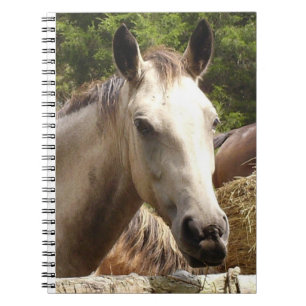 Cuaderno Portátil para caballo 4