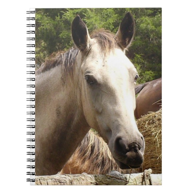 Cuaderno Portátil para caballo 4 (Frente)