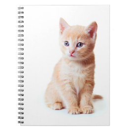 Cuaderno Portátil para gatitos