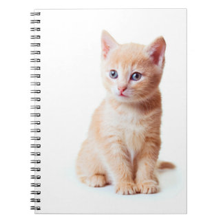 Cuaderno Portátil para gatitos