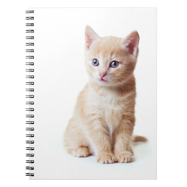 Cuaderno Portátil para gatitos (Frente)