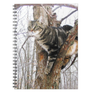 Cuaderno Portátil para gato tigre
