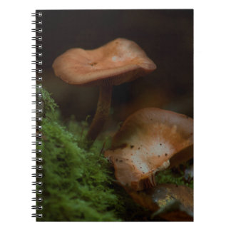 Cuaderno Portátil para hongos