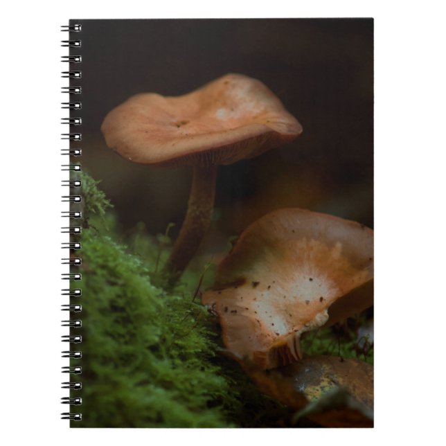 Cuaderno Portátil para hongos (Frente)