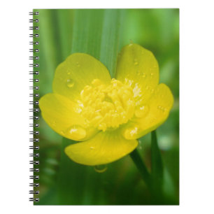 Cuaderno Portátil para mariposa appalache