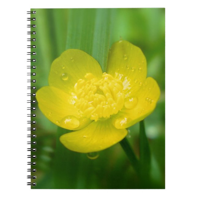 Cuaderno Portátil para mariposa appalache (Frente)
