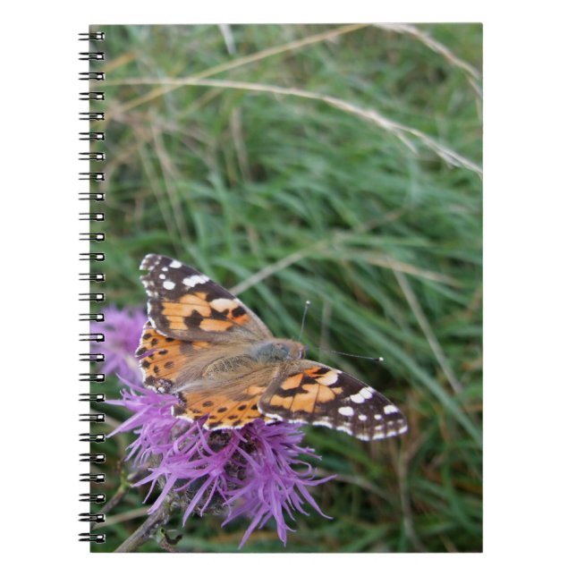 Cuaderno Portátil para mariposa naranja (Frente)