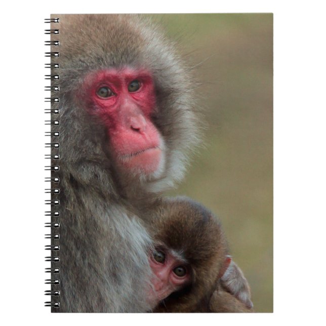Cuaderno Portátil para monos macacos japoneses (Frente)