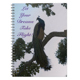 Cuaderno Portátil Peacock Dreams