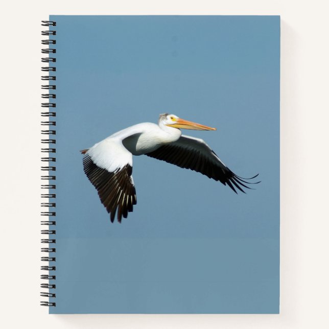 Cuaderno Portátil Pelicular Blanco Grande (Anverso)