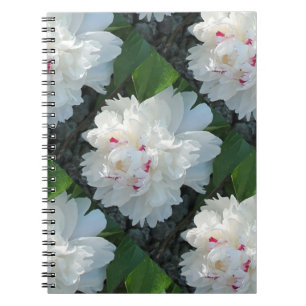 Cuaderno Portátil Peony multipreciso