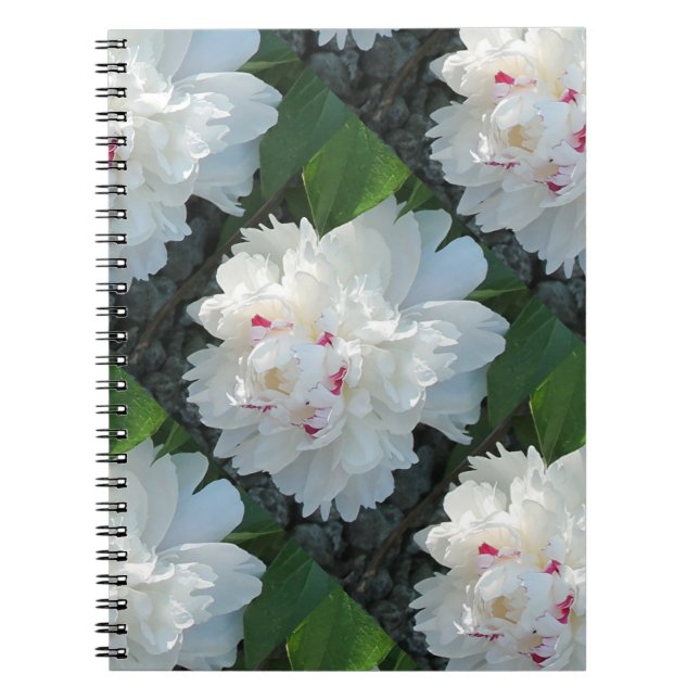 Cuaderno Portátil Peony multipreciso (Frente)