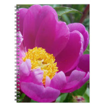 Portátil Peony Rosa Y Amarillo