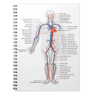 Cuaderno Portátil personalizado de anatomía y circulació