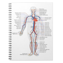 Cuaderno Portátil personalizado de anatomía y circulación h