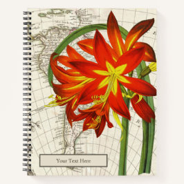 Cuaderno Portátil Phycella Fulgens